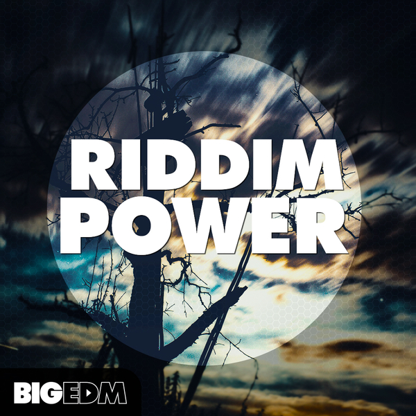 Big EDM – Riddim Power (MIDI, WAV, SERUM)